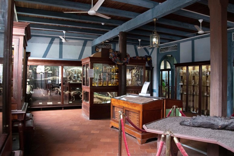 Document Name downstairs view