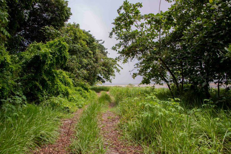 Les Hattes 18 June DSC_2455 small