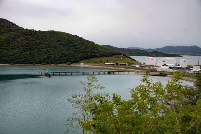 Ducos Guided Tour Emmanuelle 26 July DSC_5061 The view of Louise Michel's hut location (between palm trees) small
